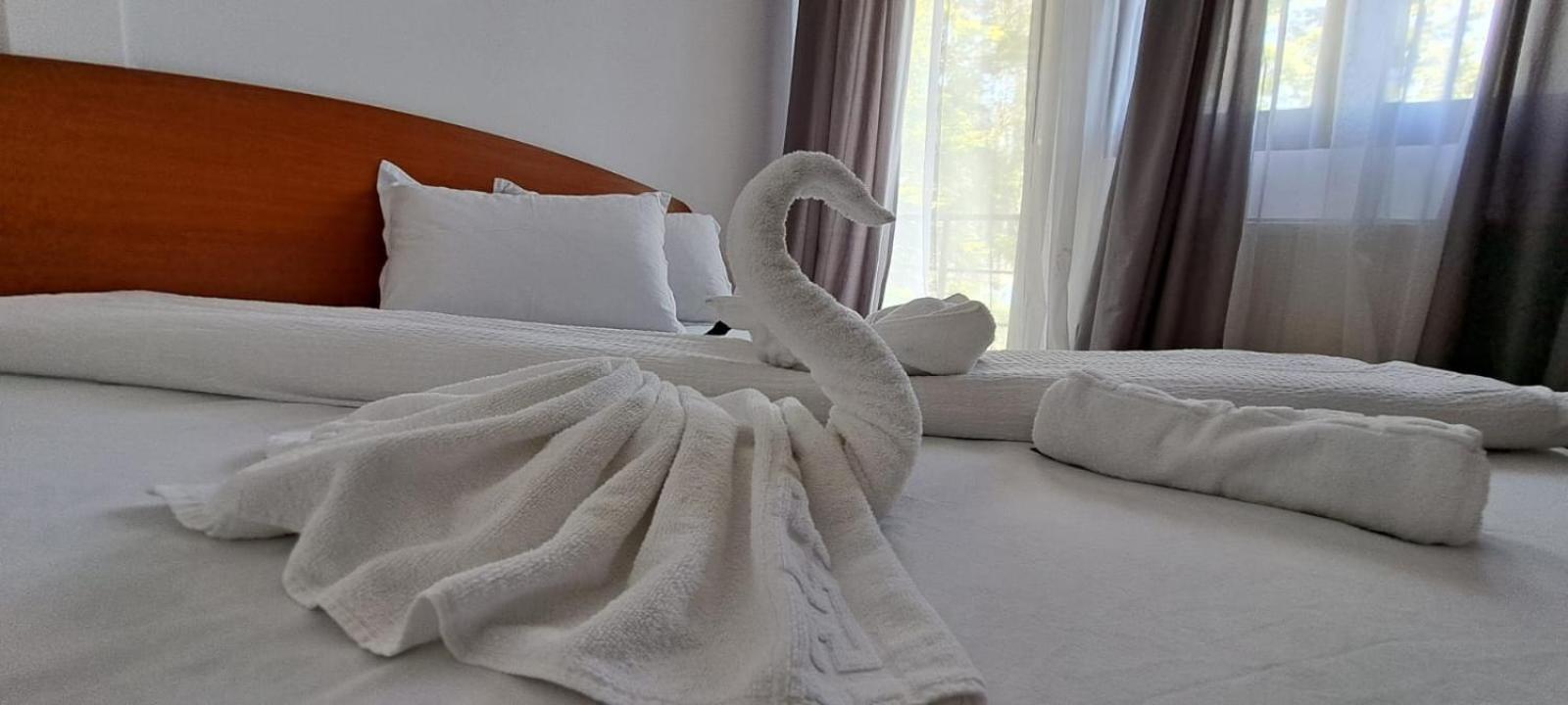 Hotel Pescarus Port Bicaz Extérieur photo